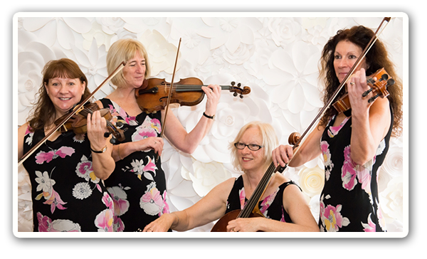 Photo of the String Quartet